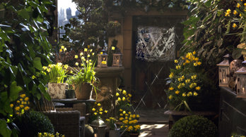 The Witchery in spring