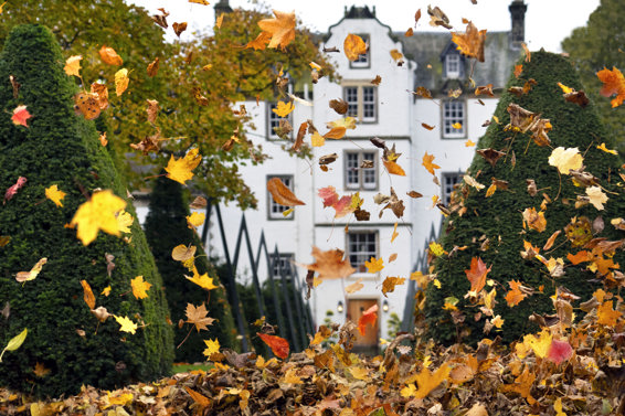 Autumn leaves fall during an October break in front of Prestonfield House luxury hotel in Edinburgh